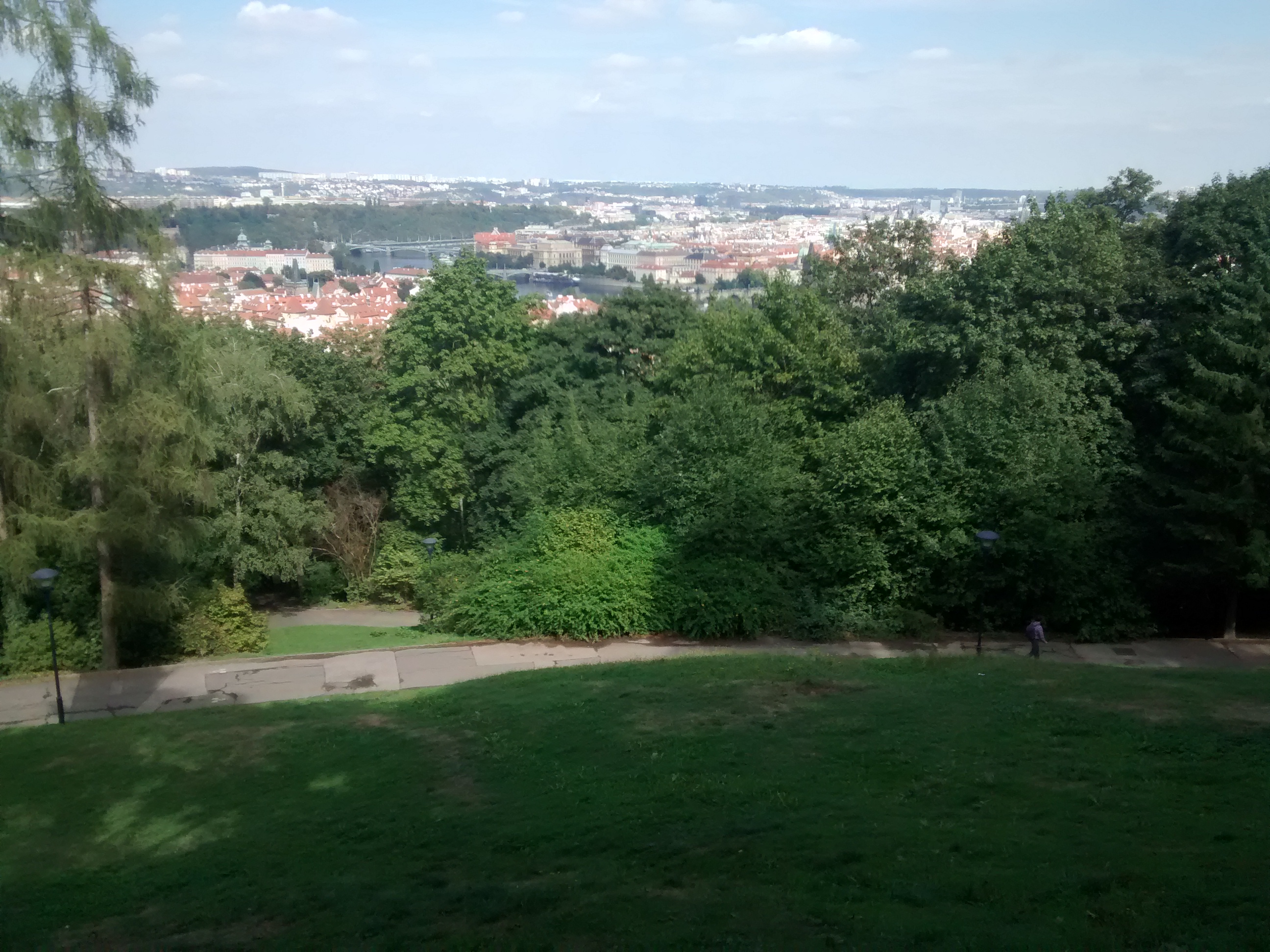 View of Prague with some trees in the way.